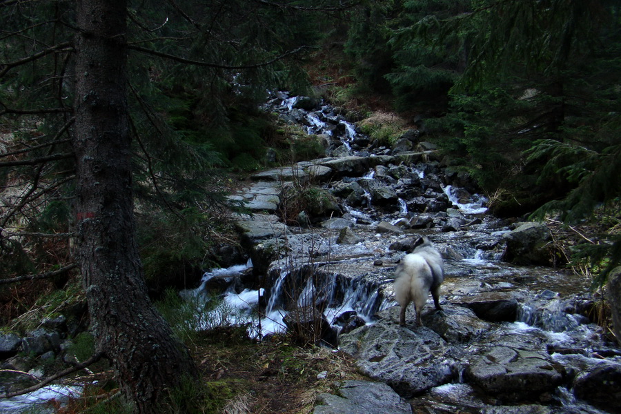 Kamenná chata pod Chopkom (Nízke Tatry)