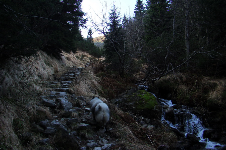 Kamenná chata pod Chopkom (Nízke Tatry)