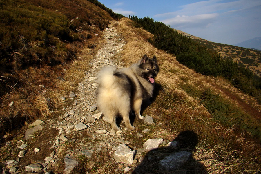 Kamenná chata pod Chopkom (Nízke Tatry)