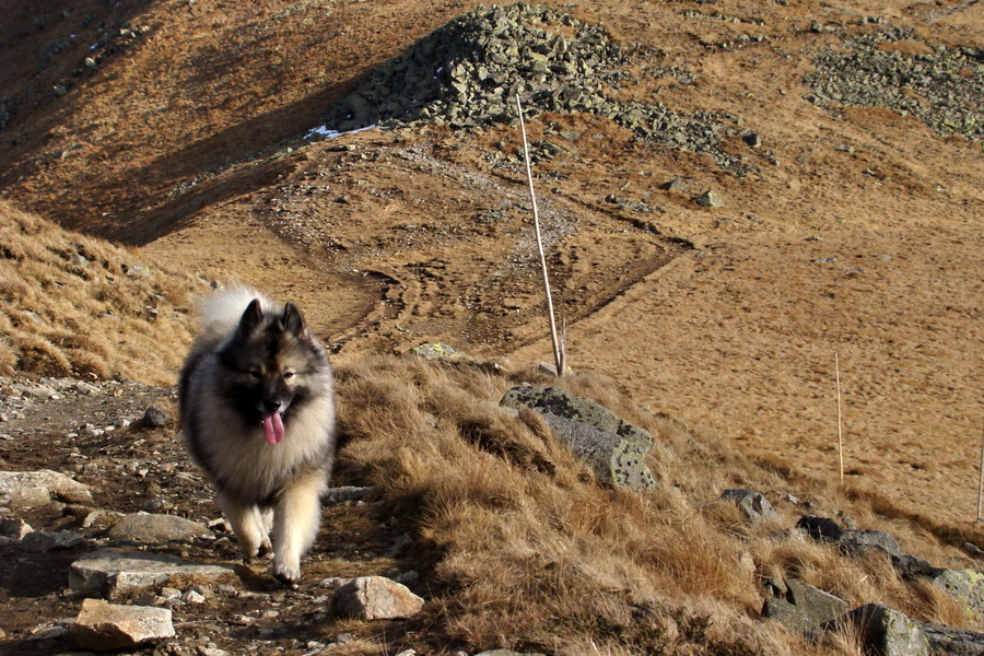 Kamenná chata pod Chopkom (Nízke Tatry)