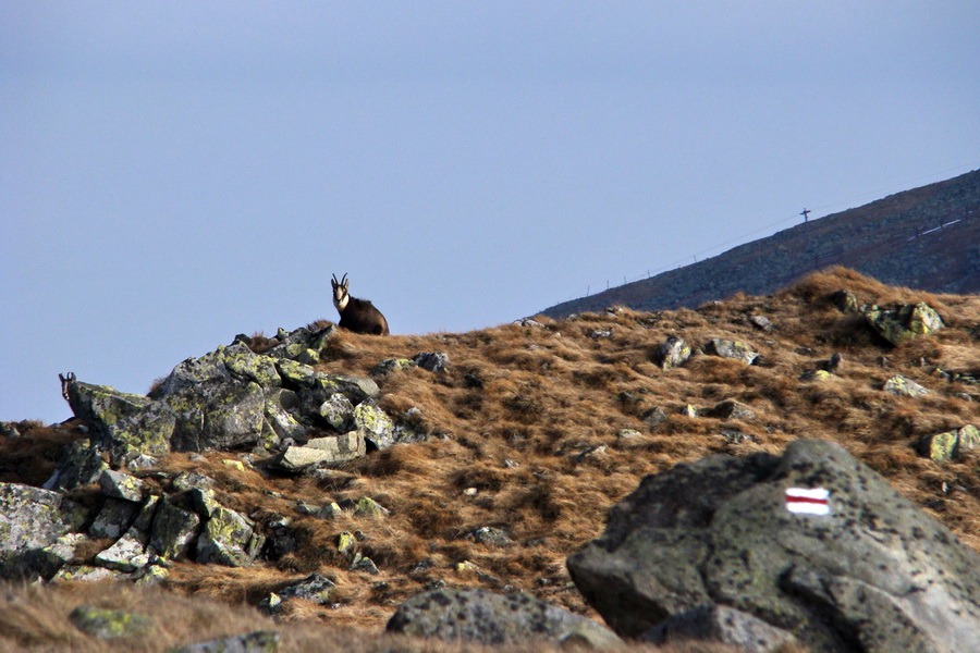 Kamenná chata pod Chopkom (Nízke Tatry)