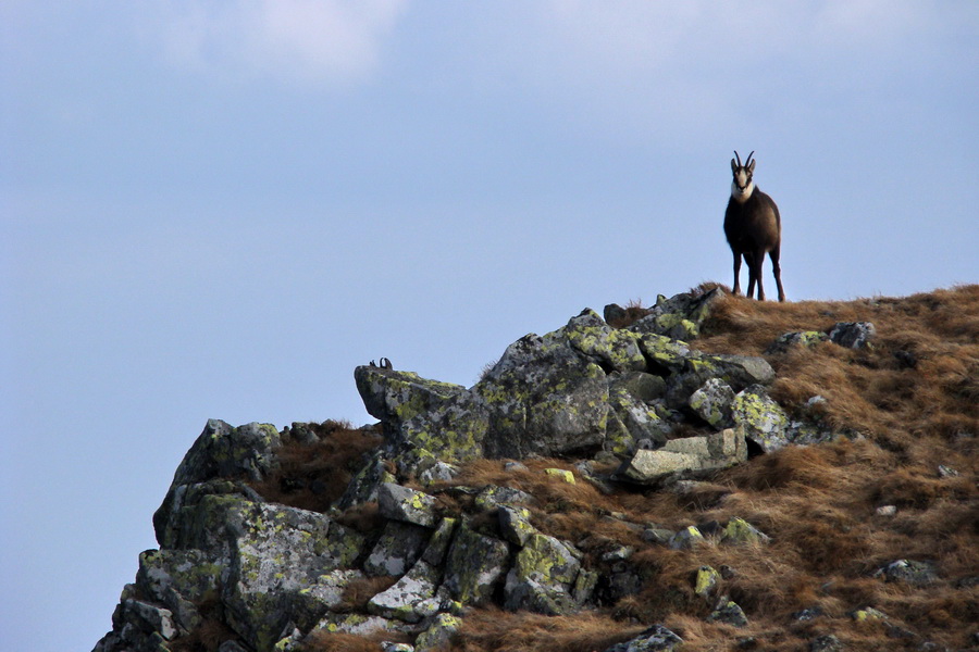 Kamenná chata pod Chopkom (Nízke Tatry)