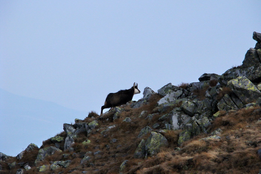 Kamenná chata pod Chopkom (Nízke Tatry)