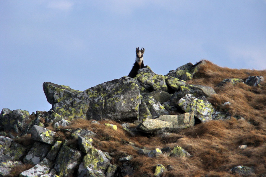 Kamenná chata pod Chopkom (Nízke Tatry)