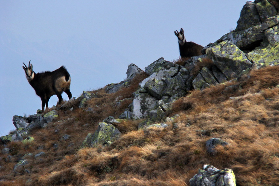 Kamenná chata pod Chopkom (Nízke Tatry)