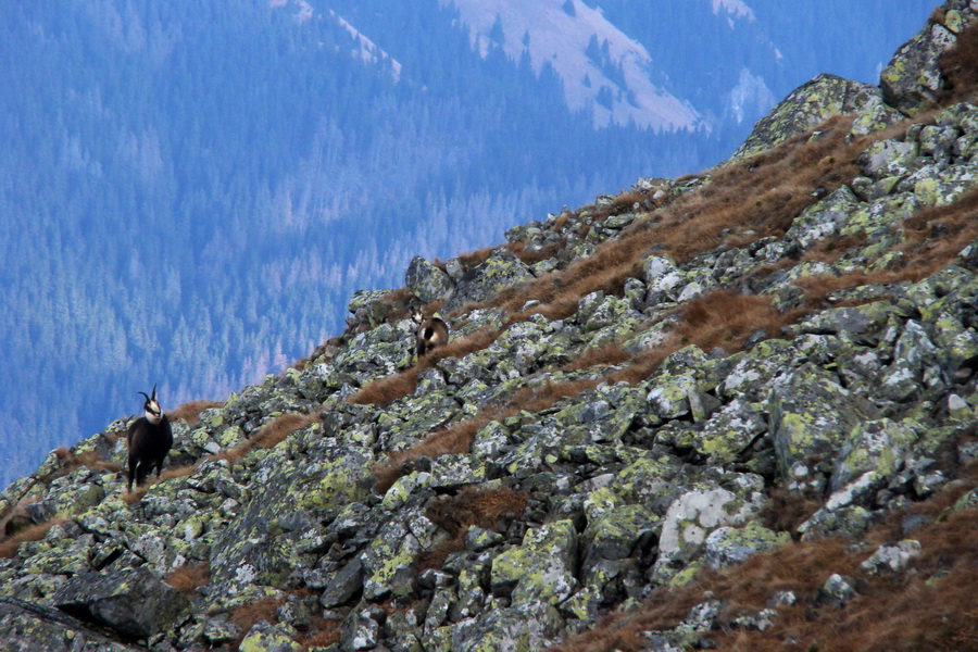 Kamenná chata pod Chopkom (Nízke Tatry)