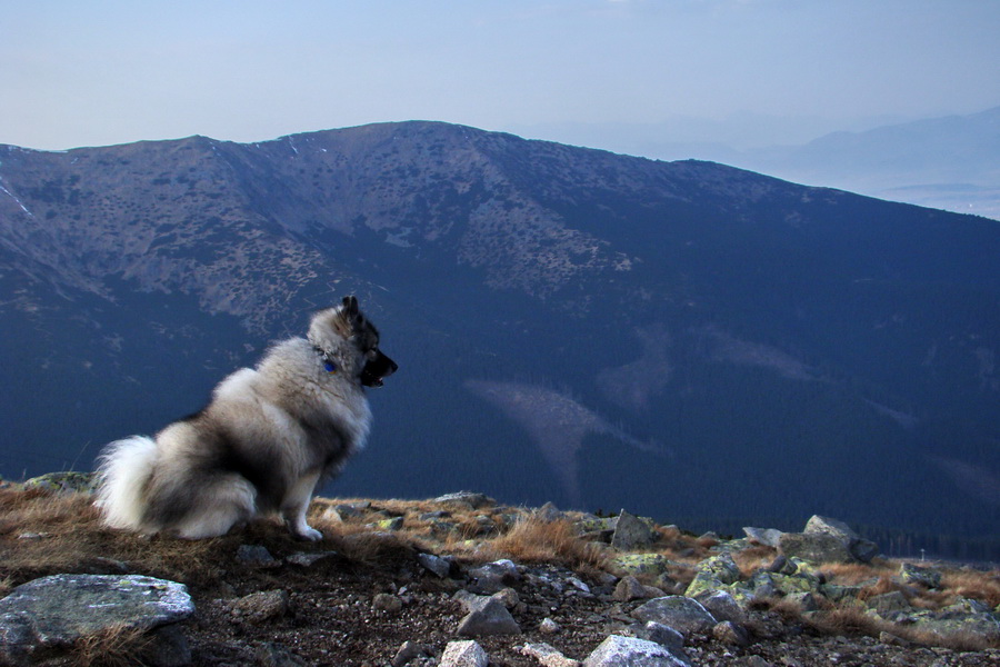 Kamenná chata pod Chopkom (Nízke Tatry)