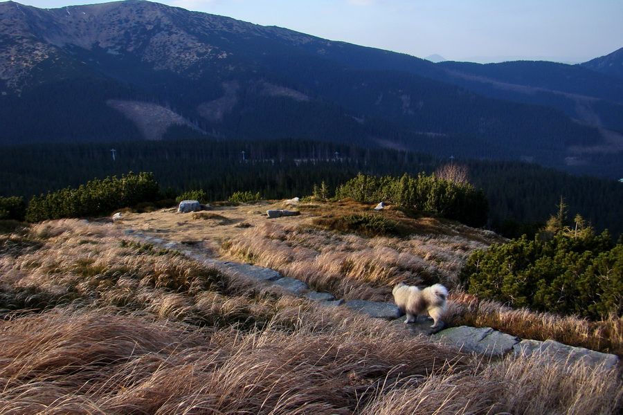 Kamenná chata pod Chopkom (Nízke Tatry)