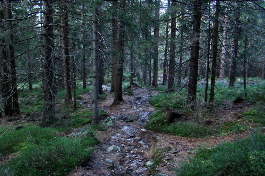 Kamenná chata pod Chopkom (Nízke Tatry)