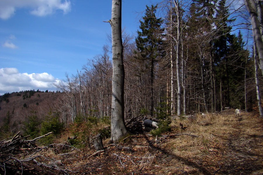 Kloptaň z Medzeva (Volovské vrchy)