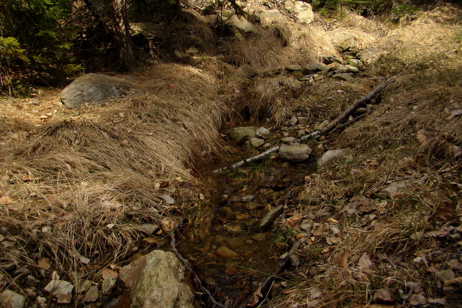 Kloptaň z Medzeva (Volovské vrchy)