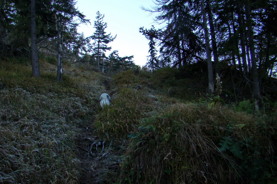 Krakova hoľa z ATC Bystrina (Nízke Tatry)