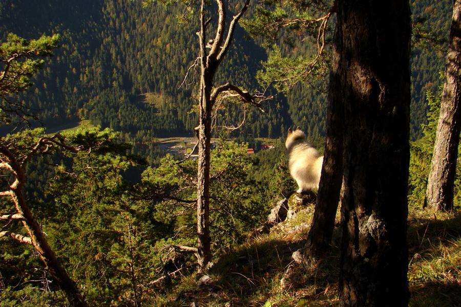 Krakova hoľa z ATC Bystrina (Nízke Tatry)