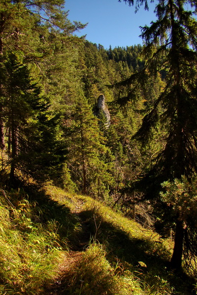 Krakova hoľa z ATC Bystrina (Nízke Tatry)