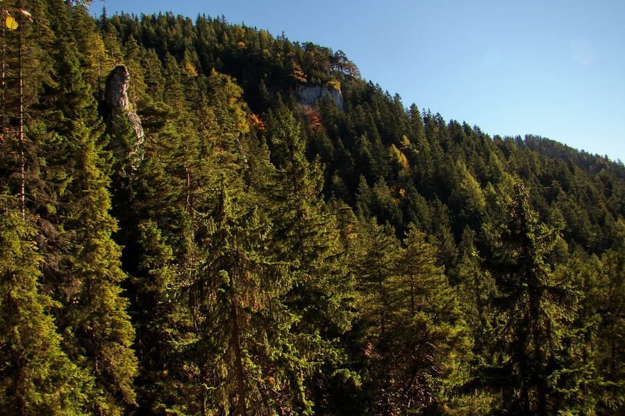 Krakova hoľa z ATC Bystrina (Nízke Tatry)