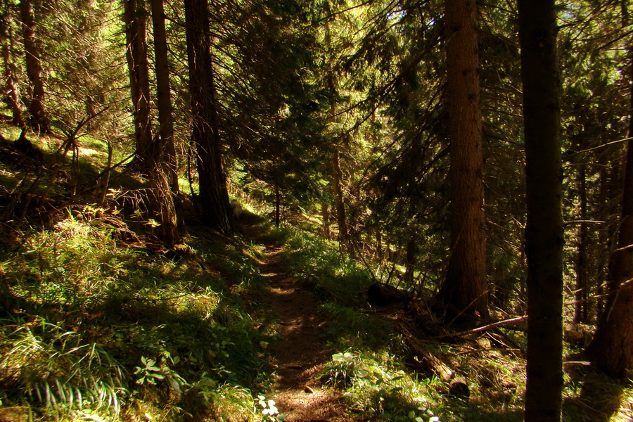 Krakova hoľa z ATC Bystrina (Nízke Tatry)