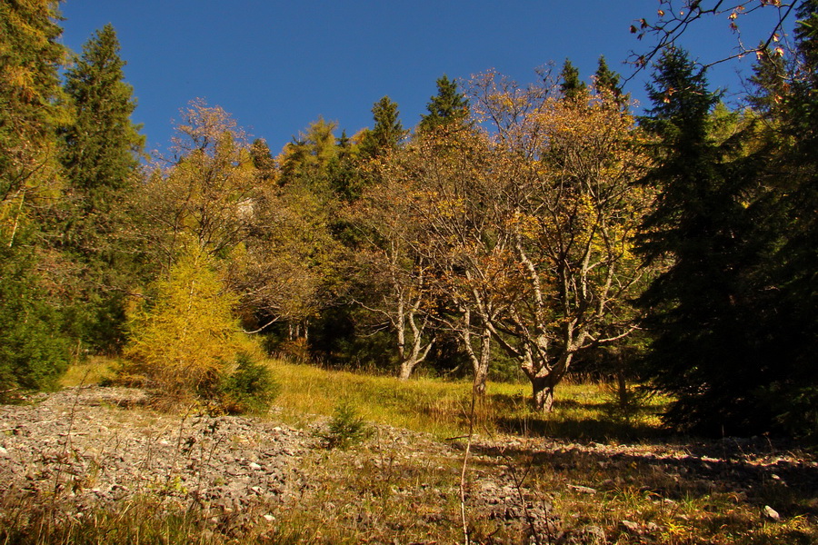 Krakova hoľa z ATC Bystrina (Nízke Tatry)