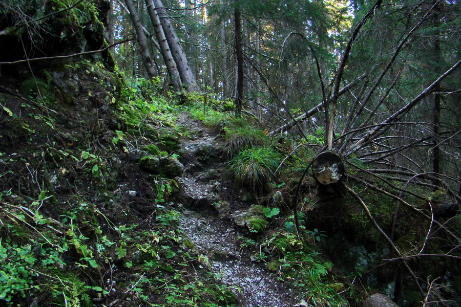 Krakova hoľa z ATC Bystrina (Nízke Tatry)