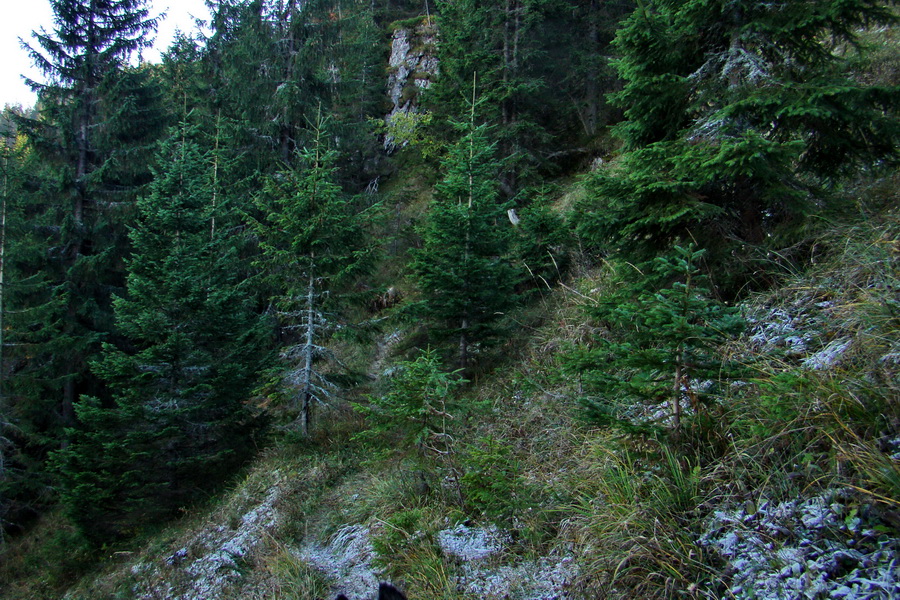 Krakova hoľa z ATC Bystrina (Nízke Tatry)