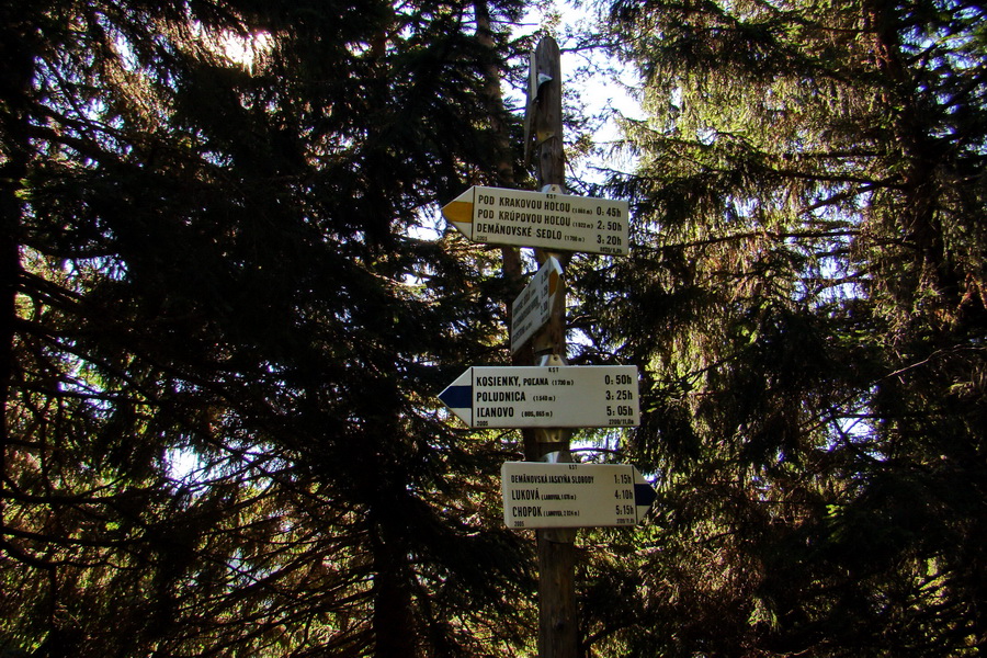 Krakova hoľa z ATC Bystrina (Nízke Tatry)