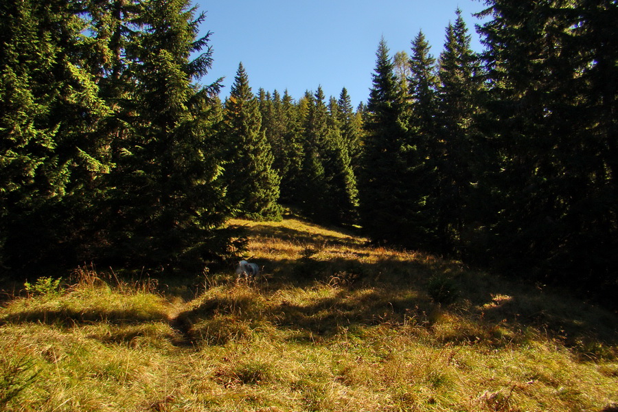 Krakova hoľa z ATC Bystrina (Nízke Tatry)