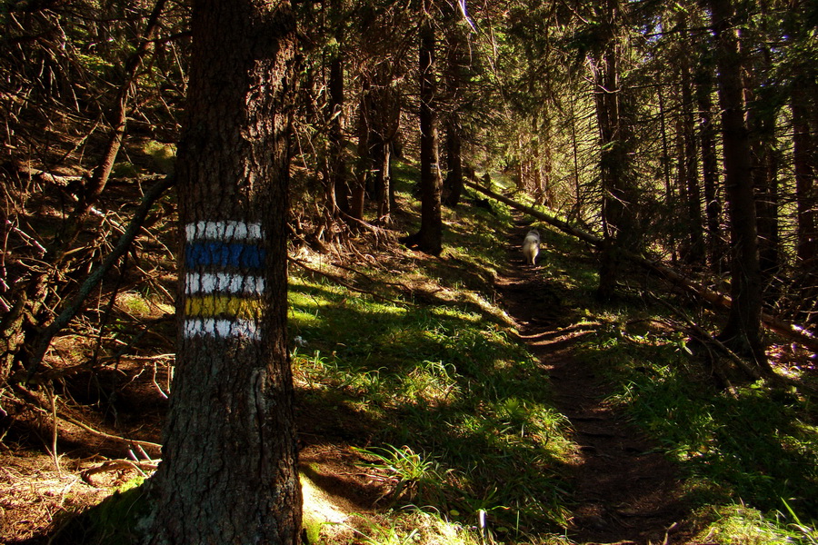 Krakova hoľa z ATC Bystrina (Nízke Tatry)