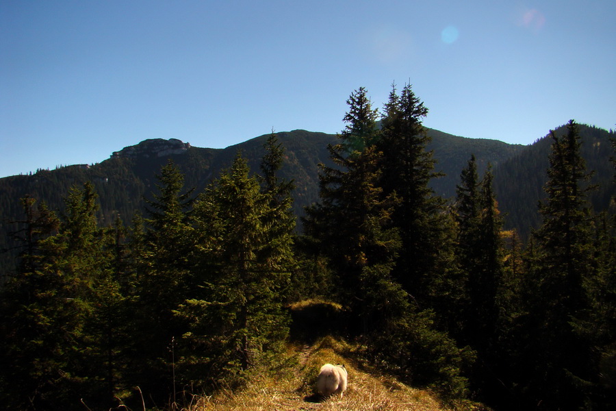 Krakova hoľa z ATC Bystrina (Nízke Tatry)