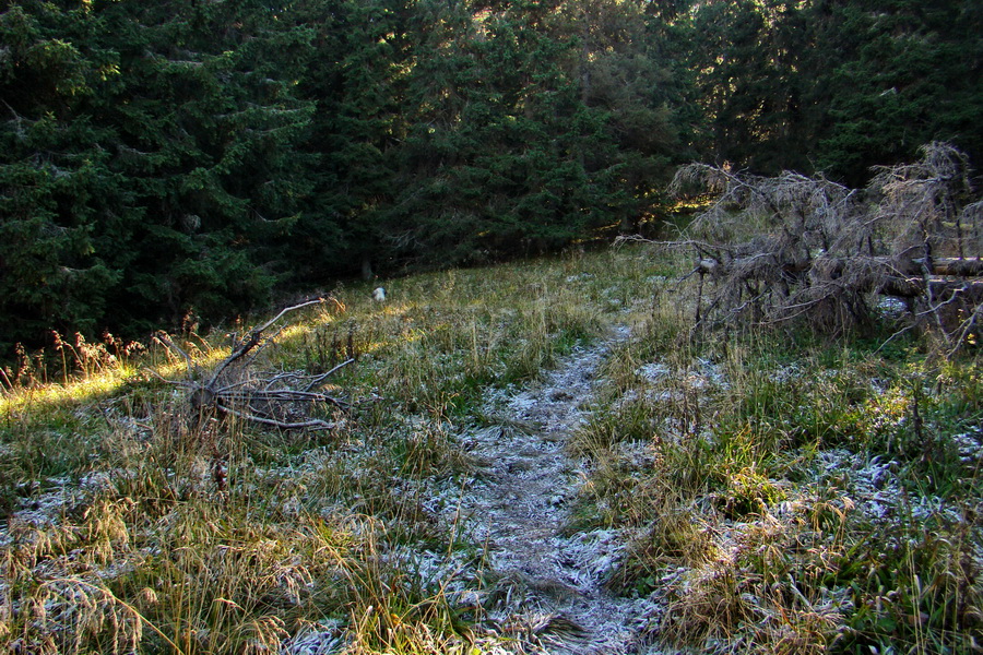 Krakova hoľa z ATC Bystrina (Nízke Tatry)