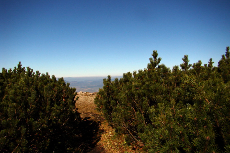 Krakova hoľa z ATC Bystrina (Nízke Tatry)