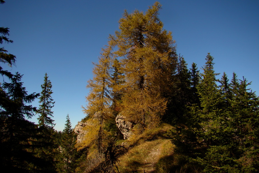 Krakova hoľa z ATC Bystrina (Nízke Tatry)