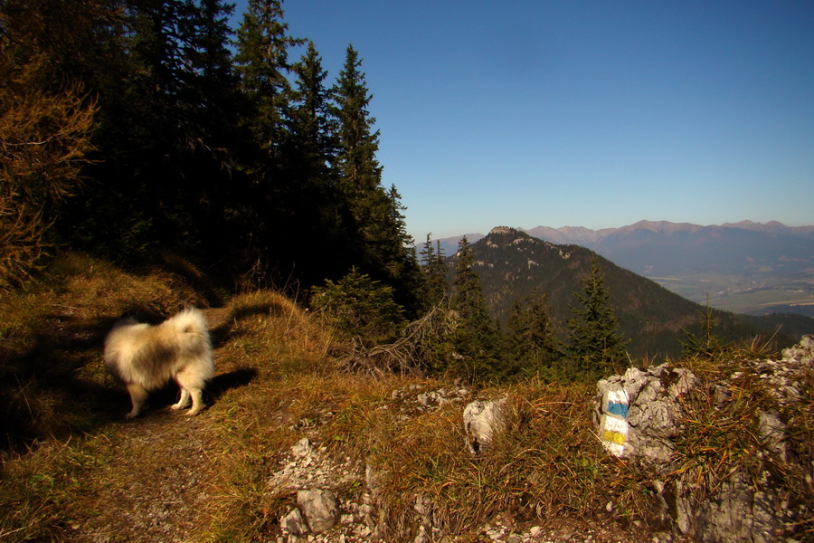 Krakova hoľa z ATC Bystrina (Nízke Tatry)