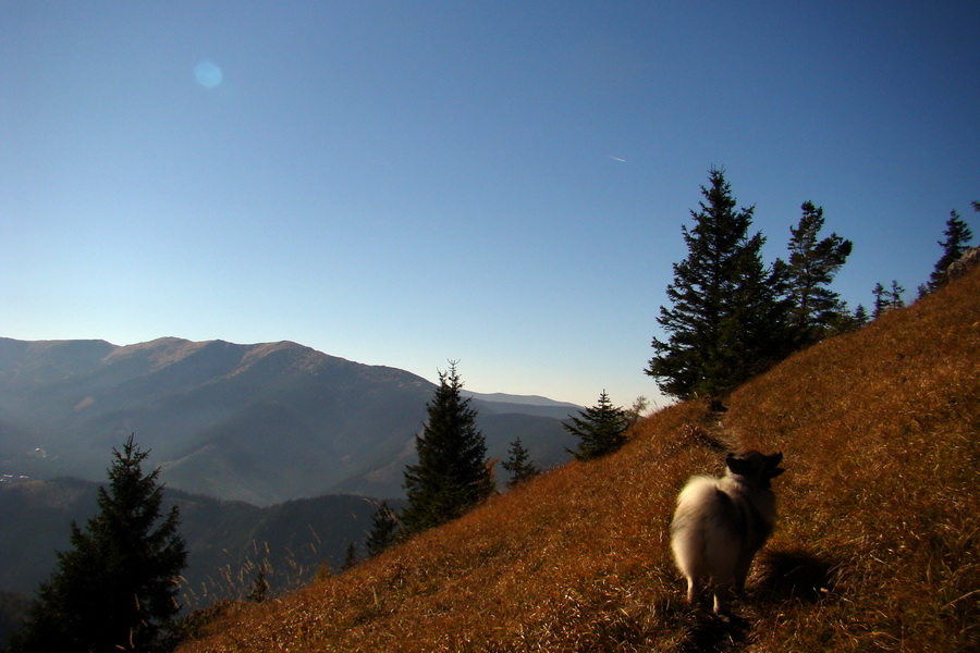 Krakova hoľa z ATC Bystrina (Nízke Tatry)