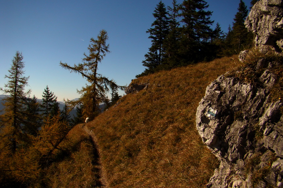 Krakova hoľa z ATC Bystrina (Nízke Tatry)