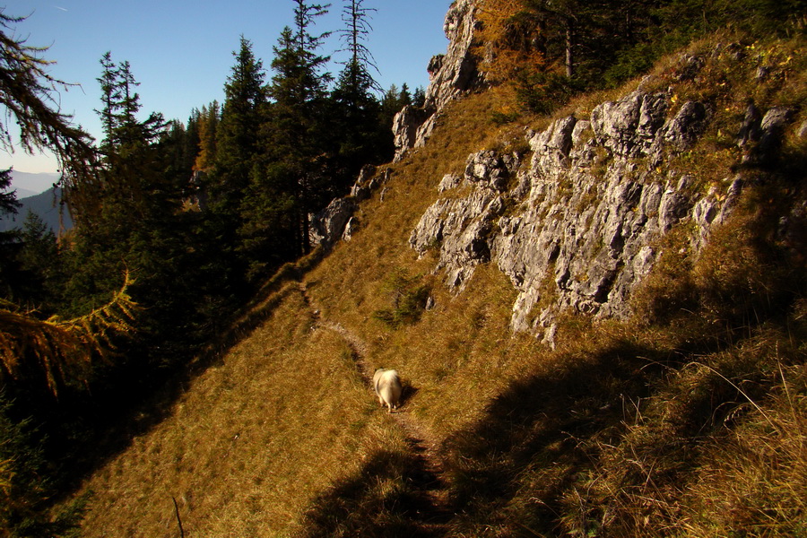 Krakova hoľa z ATC Bystrina (Nízke Tatry)