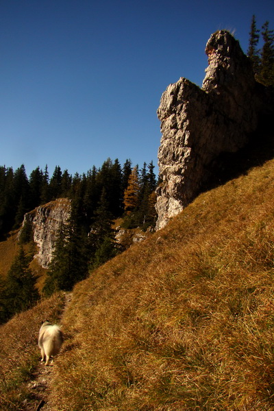 Krakova hoľa z ATC Bystrina (Nízke Tatry)