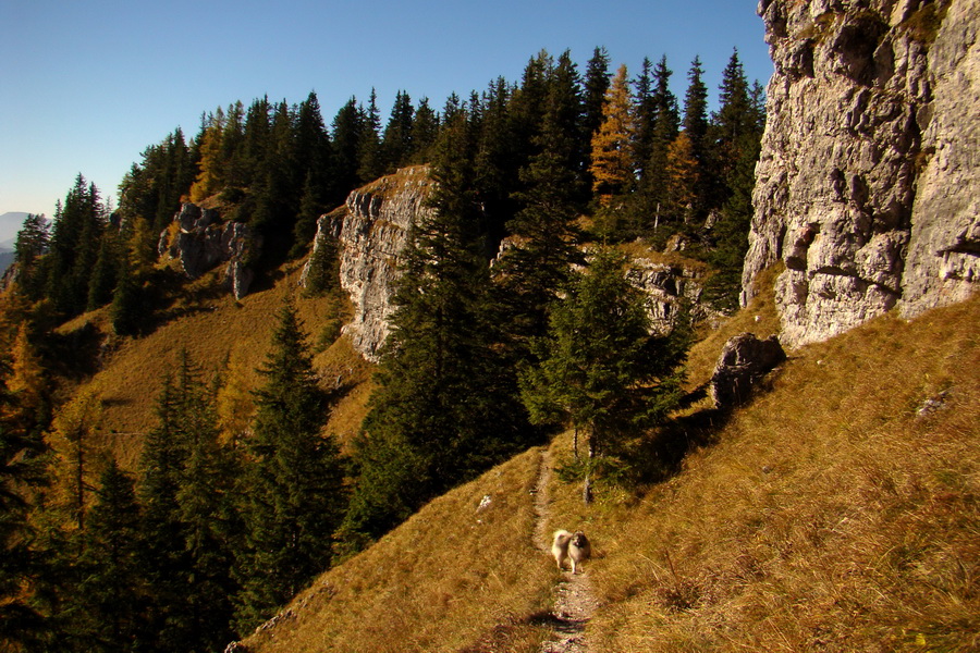 Krakova hoľa z ATC Bystrina (Nízke Tatry)