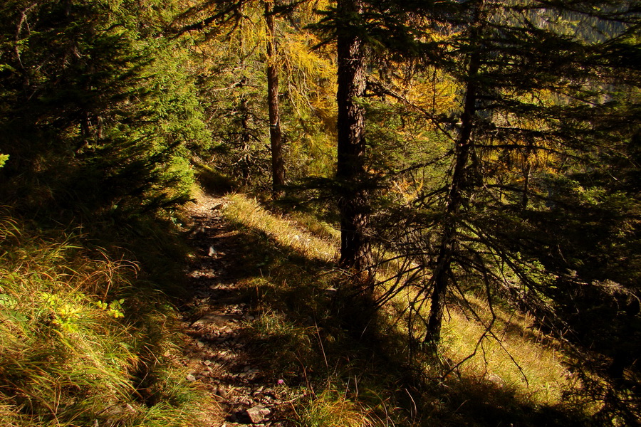 Krakova hoľa z ATC Bystrina (Nízke Tatry)