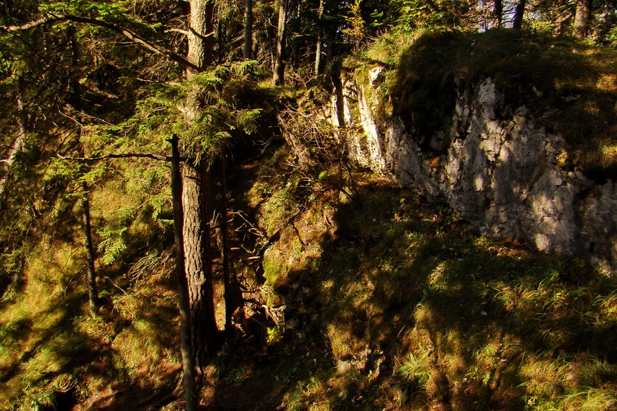 Krakova hoľa z ATC Bystrina (Nízke Tatry)