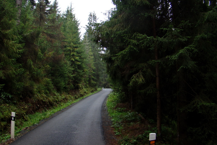 Martalúzka z Vikartoviec (Nízke Tatry)