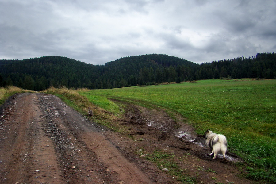 Martalúzka z Vikartoviec (Nízke Tatry)