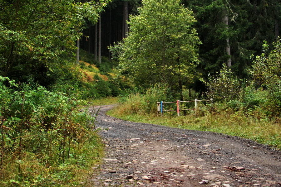 Martalúzka z Vikartoviec (Nízke Tatry)