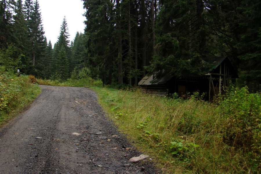 Martalúzka z Vikartoviec (Nízke Tatry)