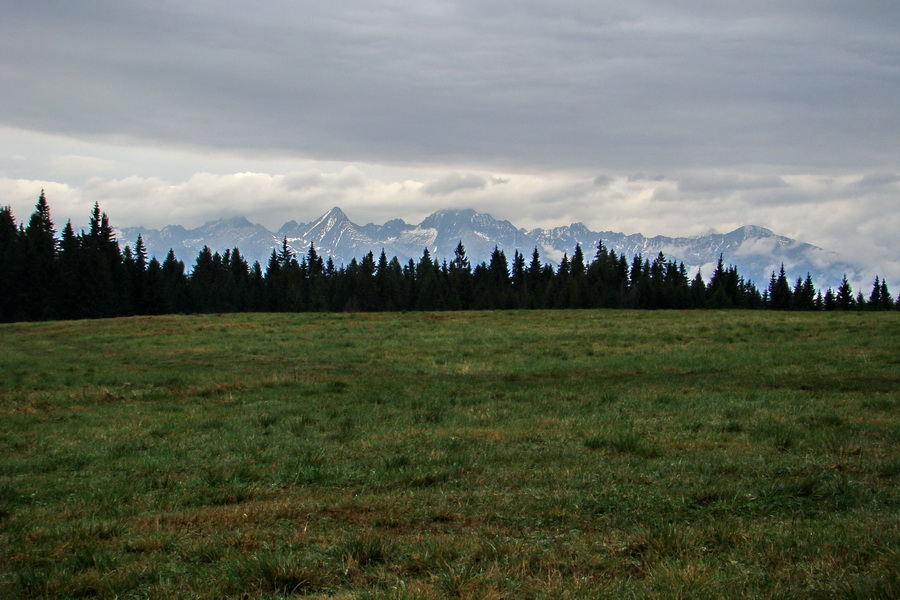 Martalúzka z Vikartoviec (Nízke Tatry)