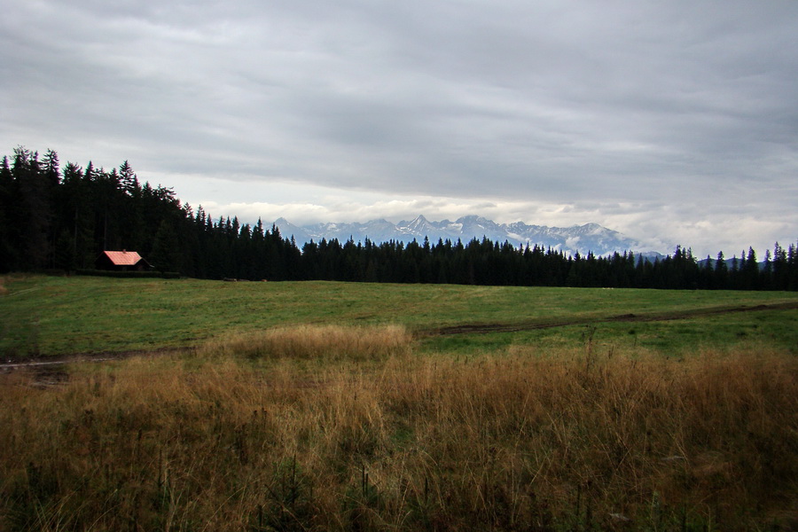 Martalúzka z Vikartoviec (Nízke Tatry)