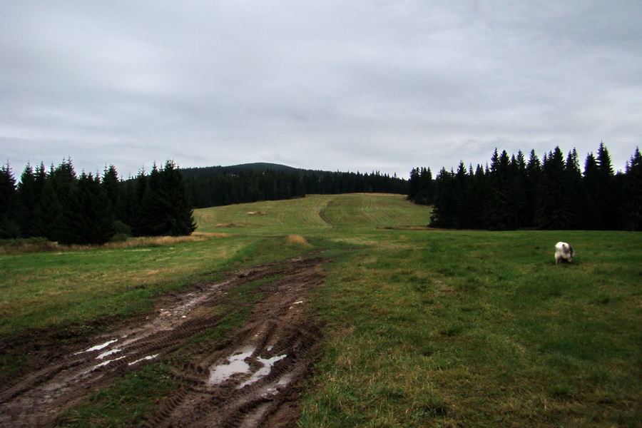 Martalúzka z Vikartoviec (Nízke Tatry)