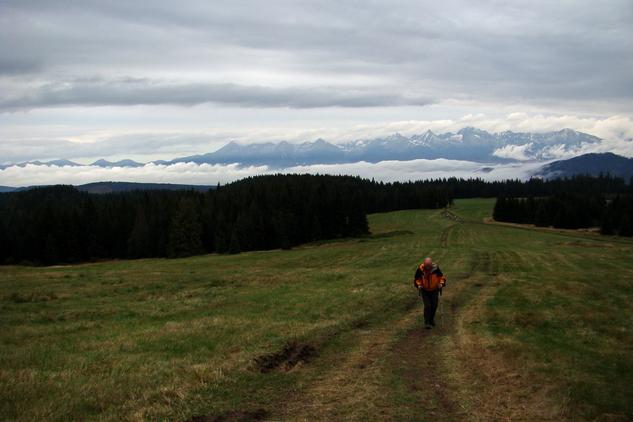 Martalúzka z Vikartoviec (Nízke Tatry)