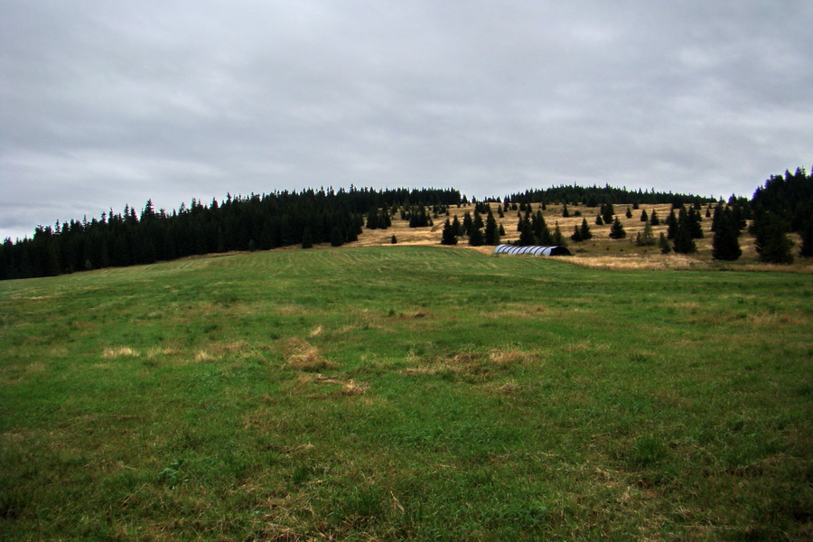 Martalúzka z Vikartoviec (Nízke Tatry)