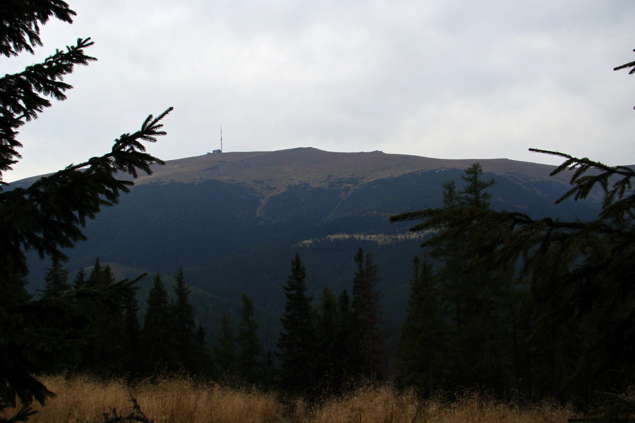 Martalúzka z Vikartoviec (Nízke Tatry)