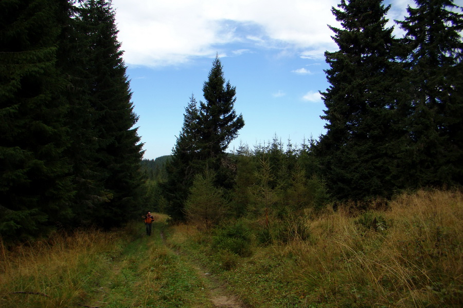 Martalúzka z Vikartoviec (Nízke Tatry)