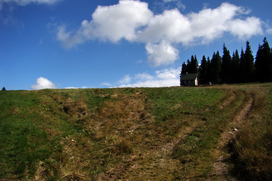 Martalúzka z Vikartoviec (Nízke Tatry)